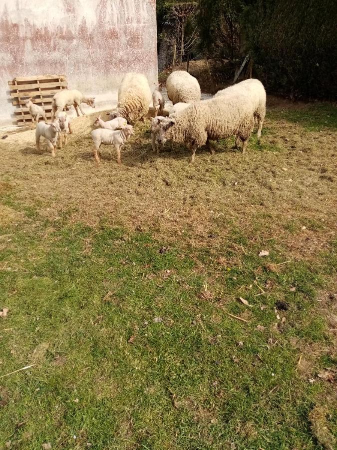 La Bergerie Bed & Breakfast Tremereuc Dış mekan fotoğraf